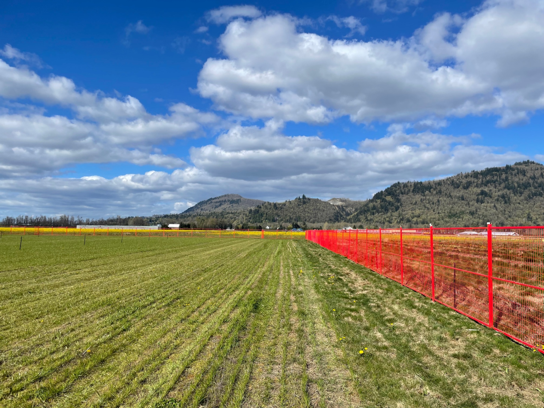 Construction project in Langley supported by Clearline site services